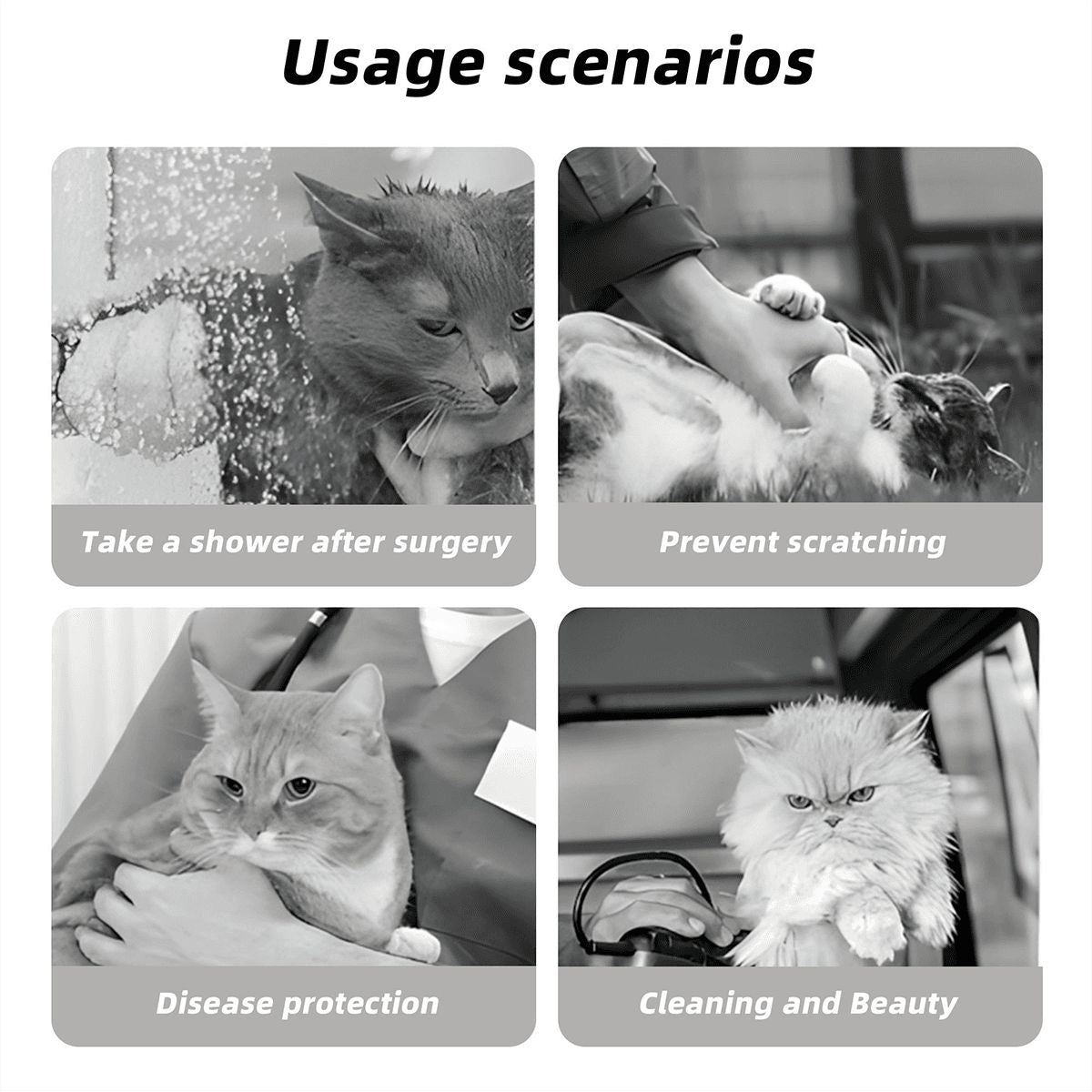 Custom Pet Elizabethan Collar