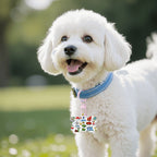 Custom Bone-Shaped Acrylic Pet Tag