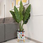 Custom Small Plant Pots with Legs Set of 3