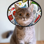 Custom Pet Elizabethan Collar