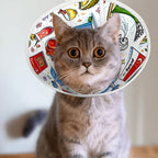 Custom Pet Elizabethan Collar