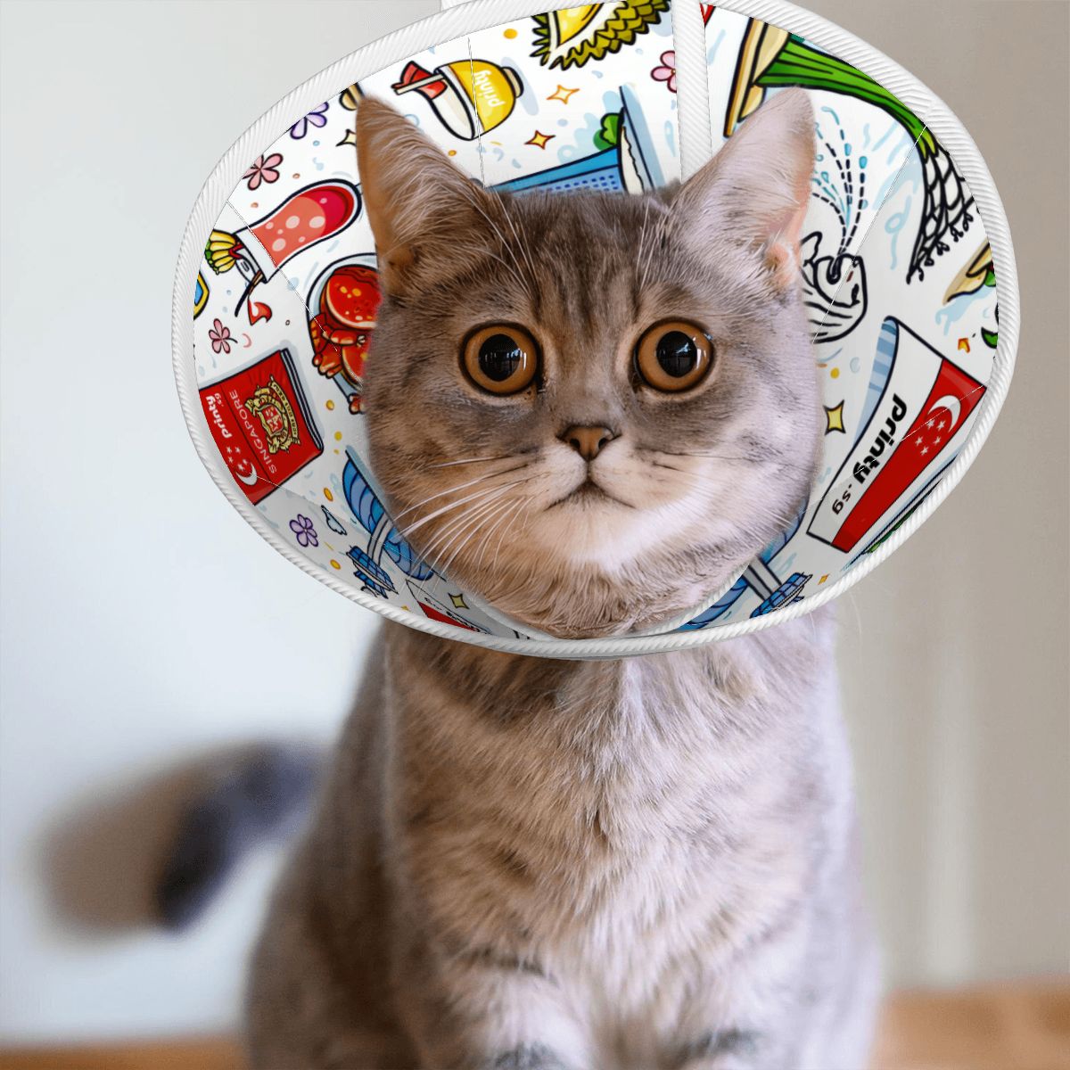 Custom Pet Elizabethan Collar