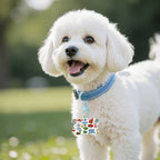 Custom Bone-Shaped Acrylic Pet Tag