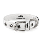 Custom Pet Collar