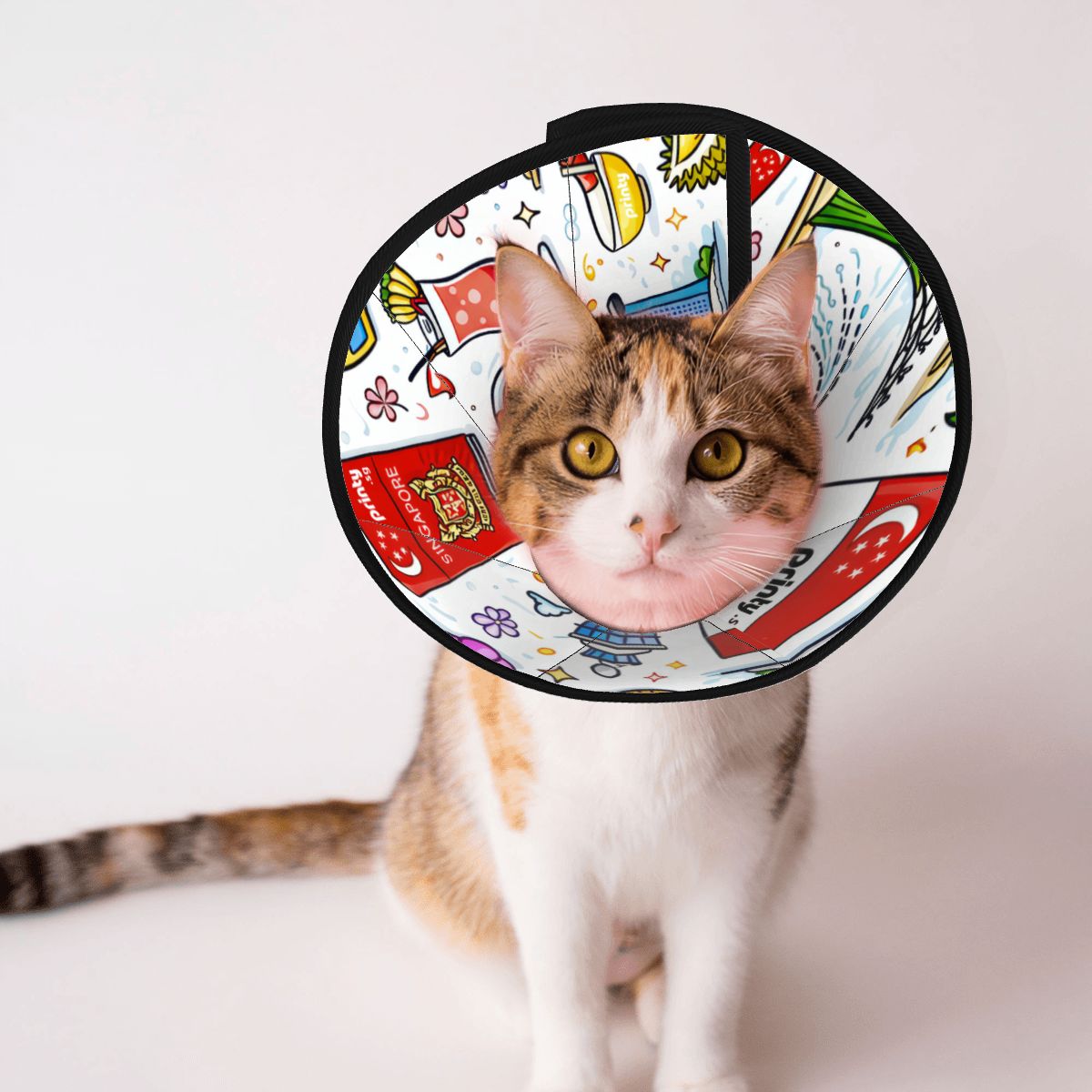Custom Pet Elizabethan Collar