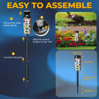 Custom Outdoor Solar Lights