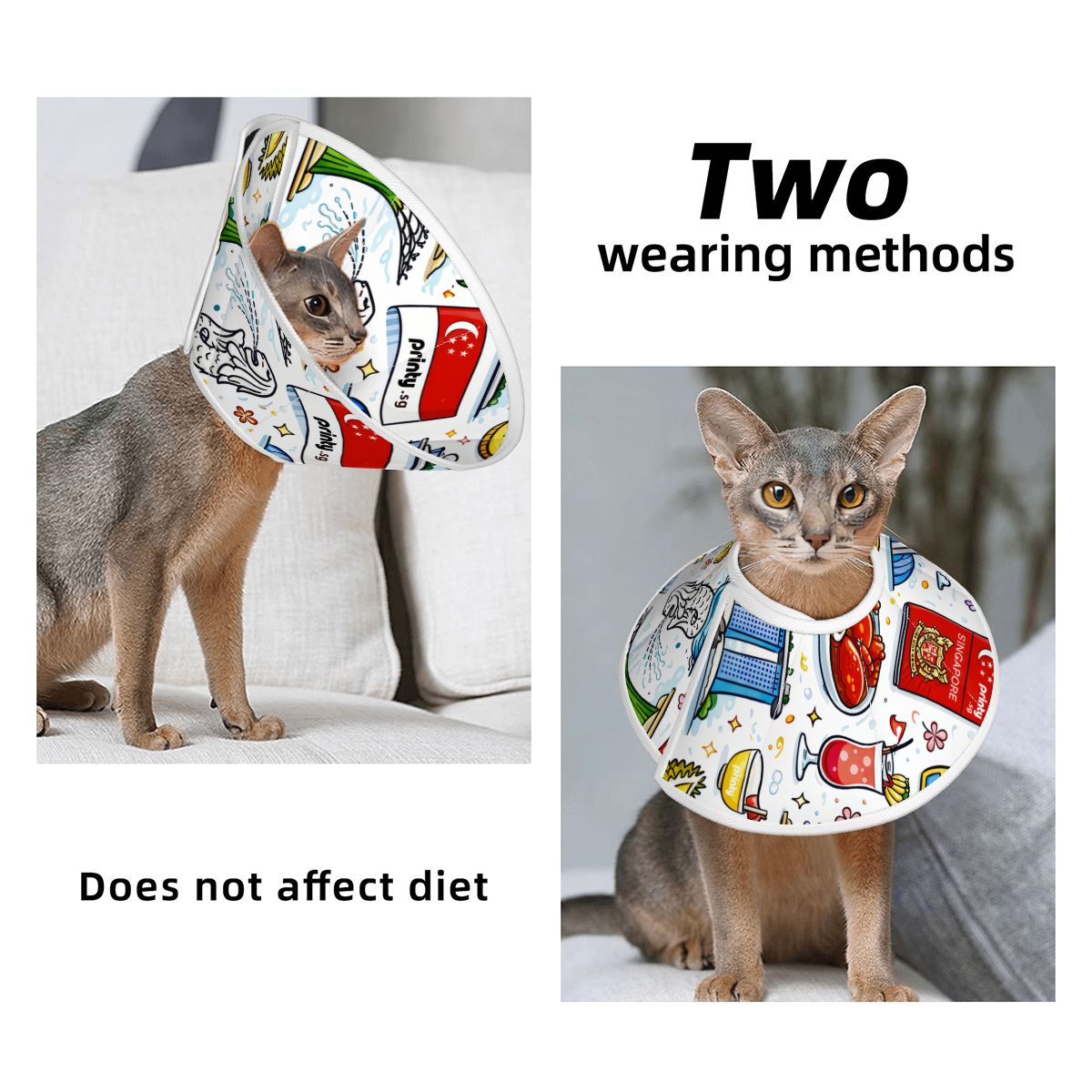 Custom Pet Elizabethan Collar
