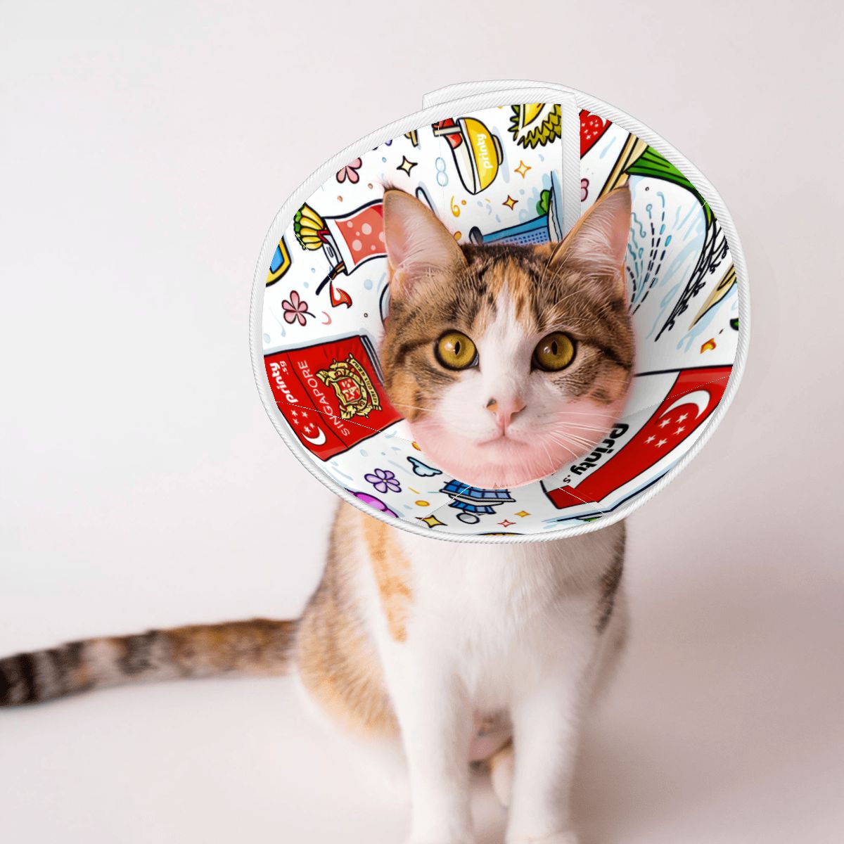 Custom Pet Elizabethan Collar