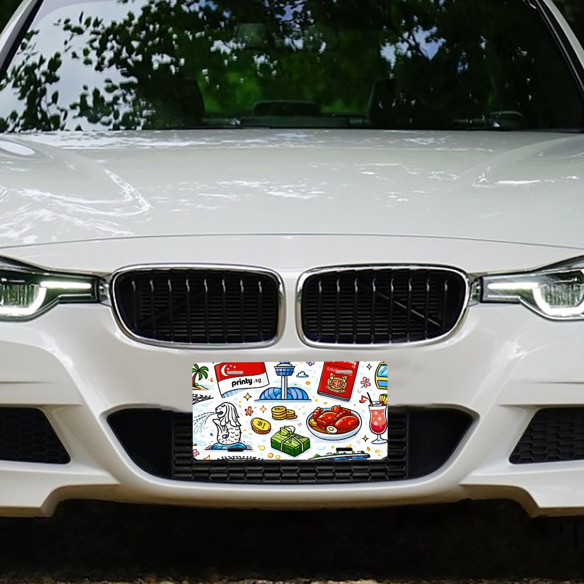 Custom Aluminum Thick License Plate
