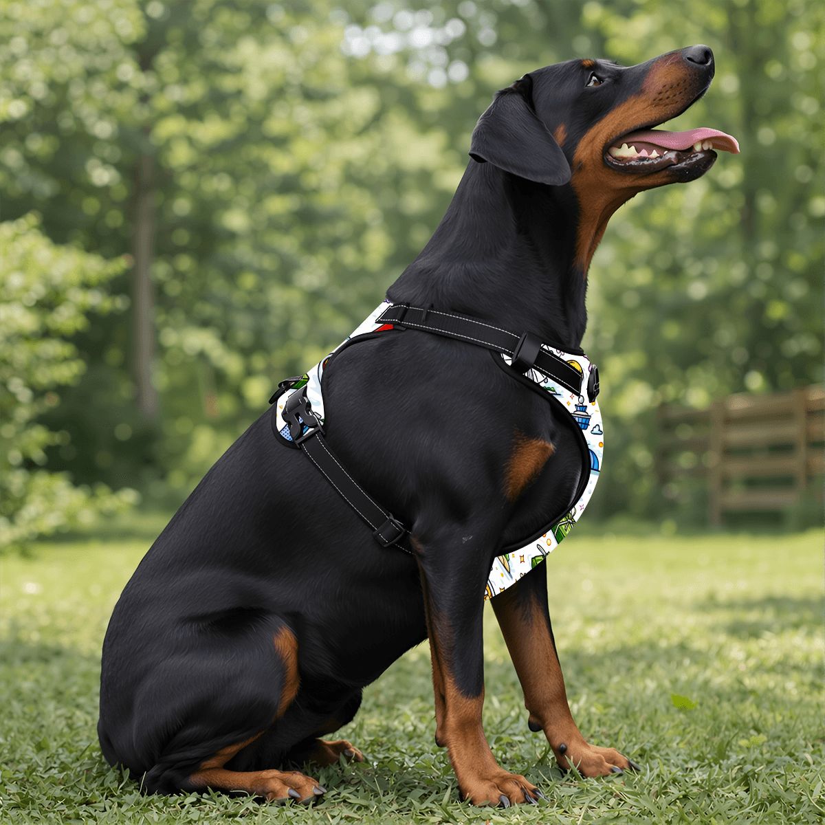 Custom Pet Harness