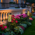 Custom Outdoor Solar Lights