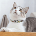 Custom Pet Collar