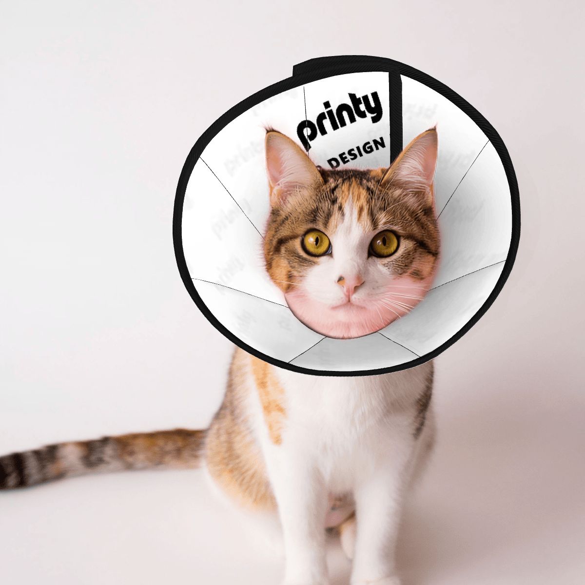 Custom Pet Elizabethan Collar