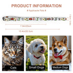 Custom Pet Collar