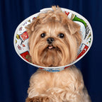Custom Pet Elizabethan Collar