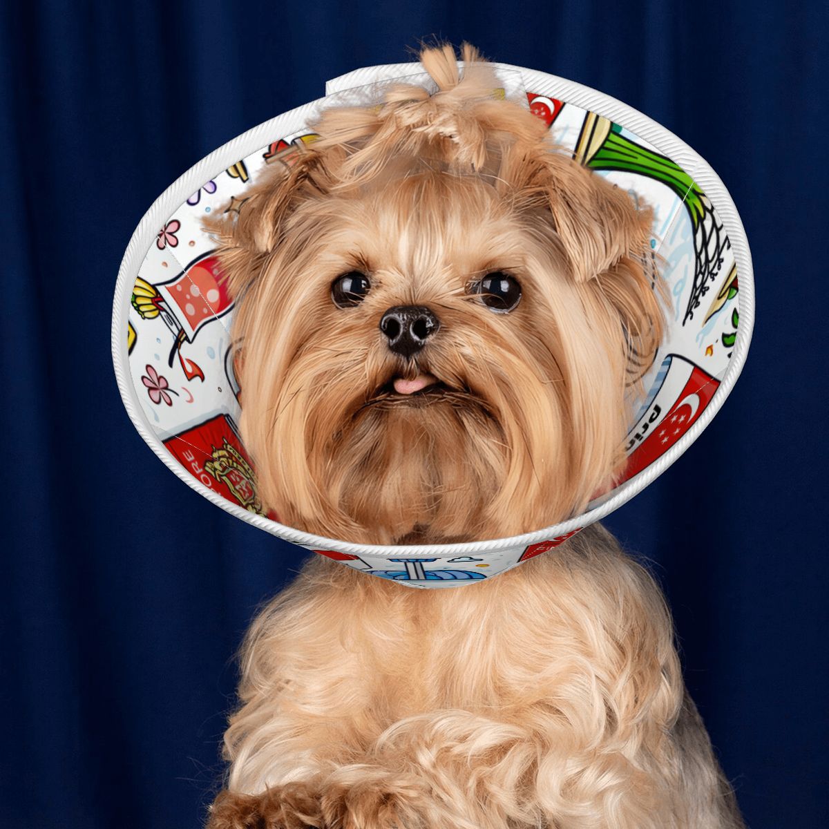 Custom Pet Elizabethan Collar