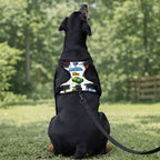 Custom Pet Harness