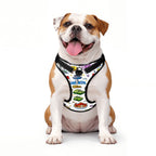 Custom Pet Harness
