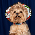 Custom Pet Elizabethan Collar