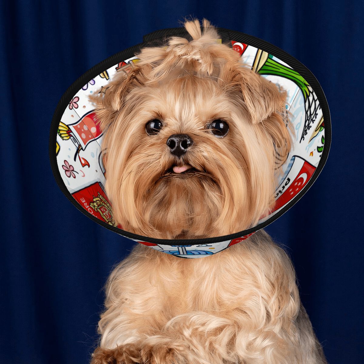 Custom Pet Elizabethan Collar