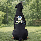 Custom Pet Harness